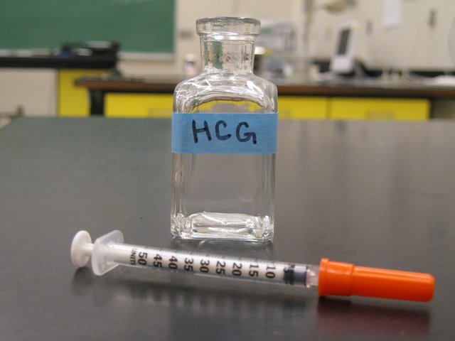 Bottle of HCG5 and syringe.